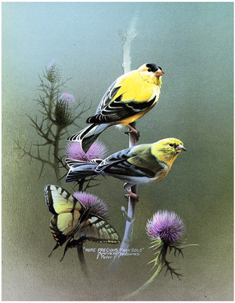 bird paintings representation