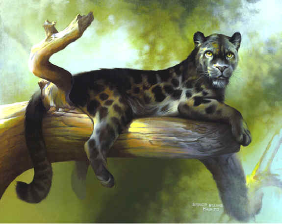 black artwork paintings. Wildlife Paintings, wildlife