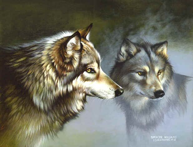 animal and wildlife paintings, Keepers of the Wild...Animal Paintings ~ Wildlife Art ~ Animal Paintings & Animal Artwork~ Paintings of Wildlife ~ Keepers of the Wild painting by Spencer Williams ~ Smoky Mountains Tennessee ...Animal Paintings ~ Wildlife Art ~ Animal Paintings & Animal Artwork~ Paintings of Wildlife ~ Keepers of the Wild painting by Spencer Williams ~ Smoky Mountains Tennessee 