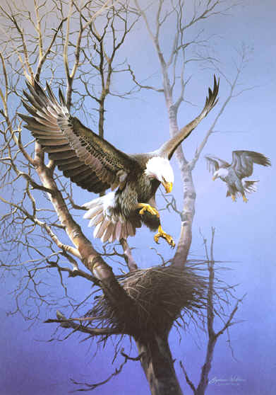 All were of Eagles in flight and after painting 5 others I simply 