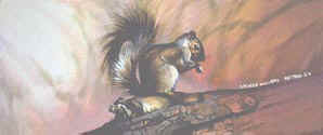 wildlife oil paintings, oil paintings of wildlife, original wildlife oil paintings, Oil Paintings, original oil paintings,original oil paintings for sale,Animal Paintings, Wildlife Paintings, animal & wildlife artwork, paintings of animals~Wildlife Artist~Smoky Mountains. Paintings of animals from around the world done by Christian artist Spencer Williams 