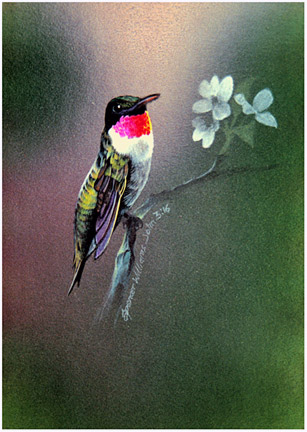 Bird Paintings, animal & wildlife paintings, paintings of animals, wildlife  art Spencer Williams