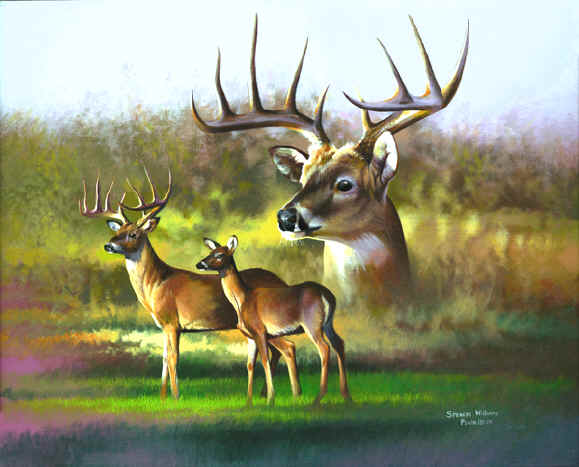 smoky mountain artist, smoky mountain art, smoky mountain paintings, paintings of smoky mountains, paintings smoky mountains, Animal Paintings, Wildlife Paintings, animal & wildlife artwork, paintings of animals~Wildlife Artist~Smoky Mountains. Paintings of animals from around the world done by Christian artist Spencer Williams
