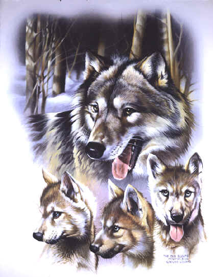 Animal Paintings ~ Paintings of Wof, wolf painting~ Wildlife Art ~ Animal Paintings & Animal Artwork~ Paintings of Wildlife ~ Smoky Mountains Tennessee