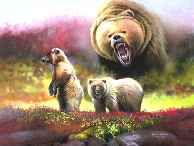 Animal Paintings Painting of Bear, bear painting ~ Wildlife Art ~ Animal Paintings & Animal Artwork~ Paintings of Wildlife ~ Smoky Mountains Tennessee