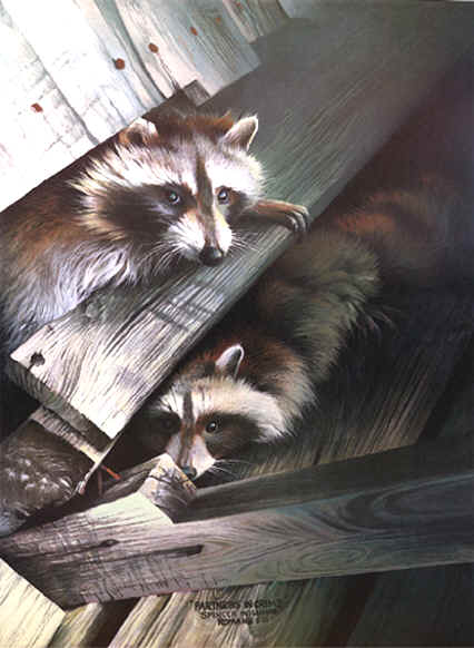animal paintings, wildlife paintings